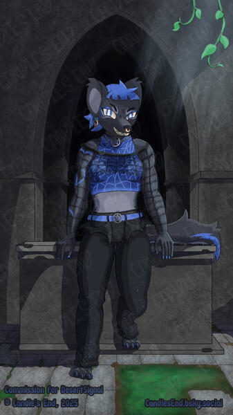 Onyx Commission for DesertSignal